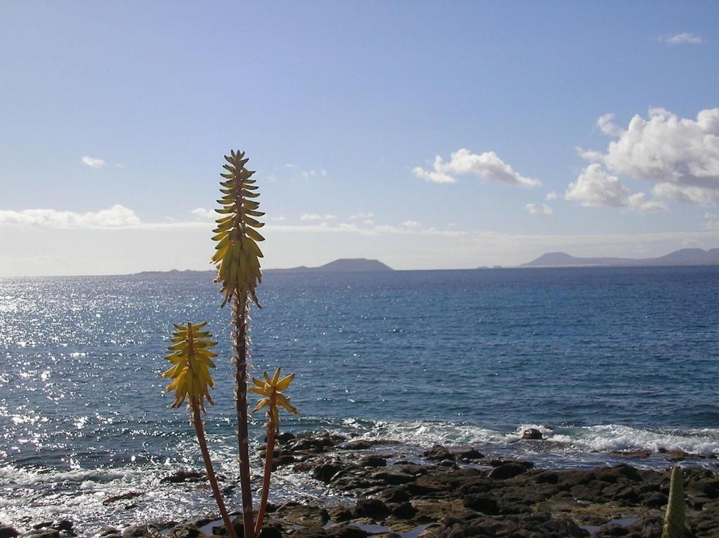 Casa Aguamarina 23B Villa Playa Blanca  Kültér fotó